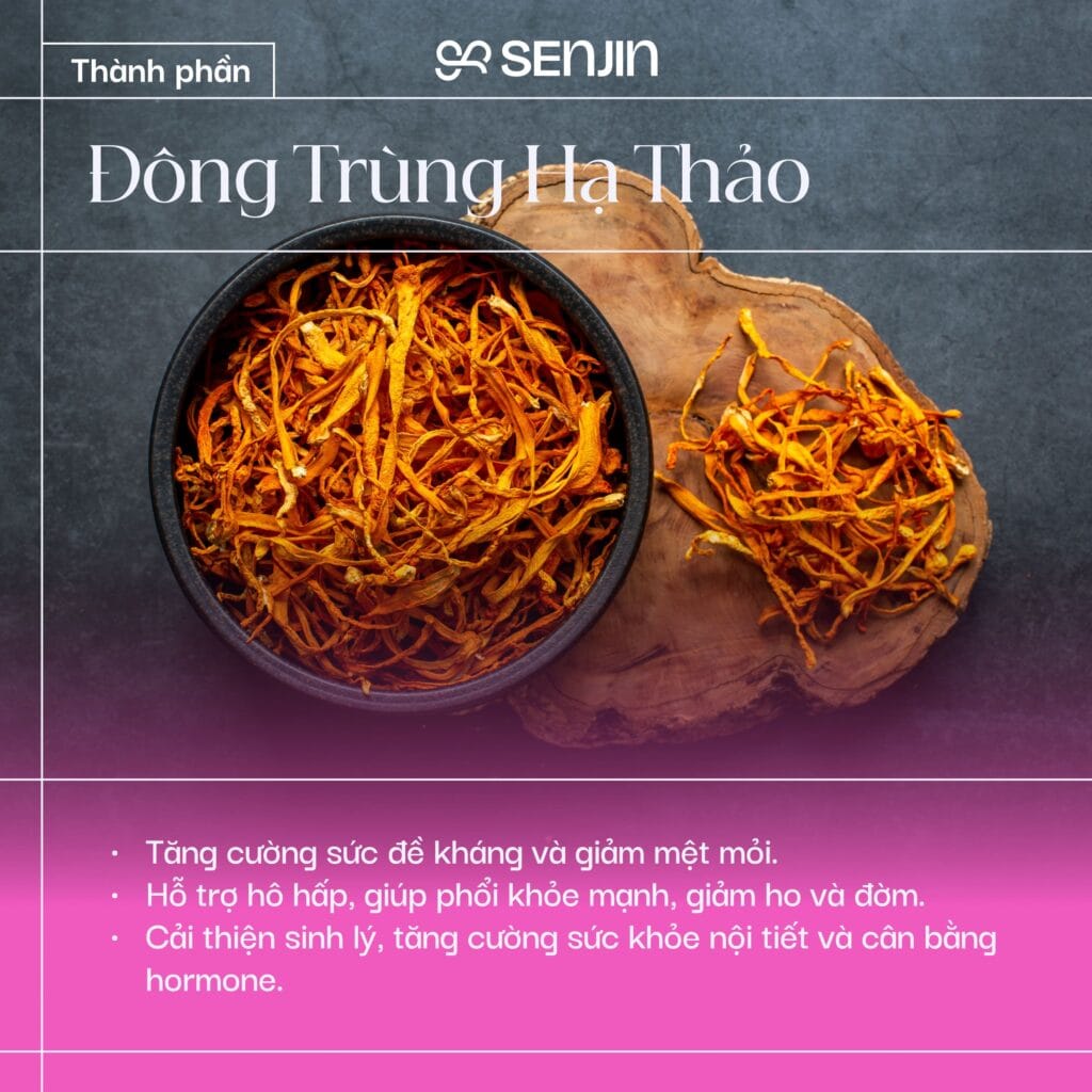 Thảo dược hàn quốc