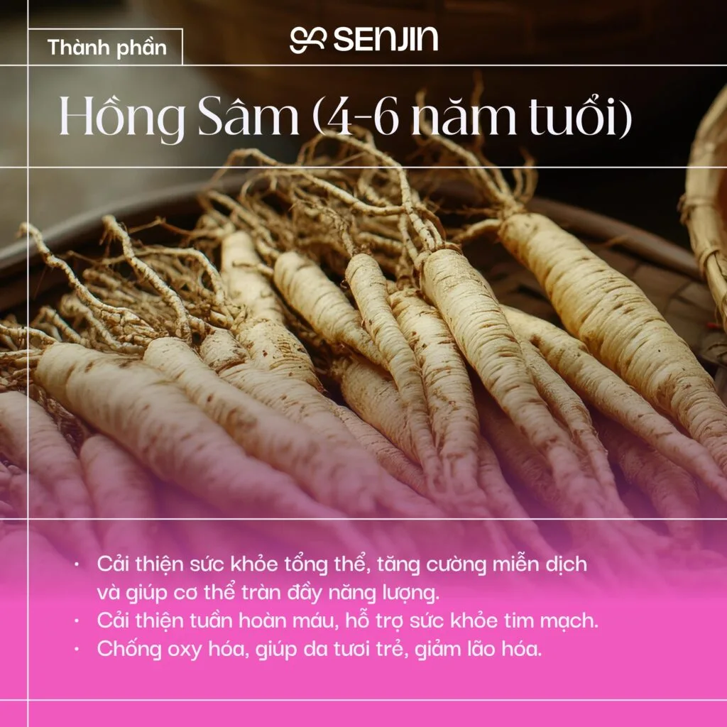 Thảo dược hàn quốc
