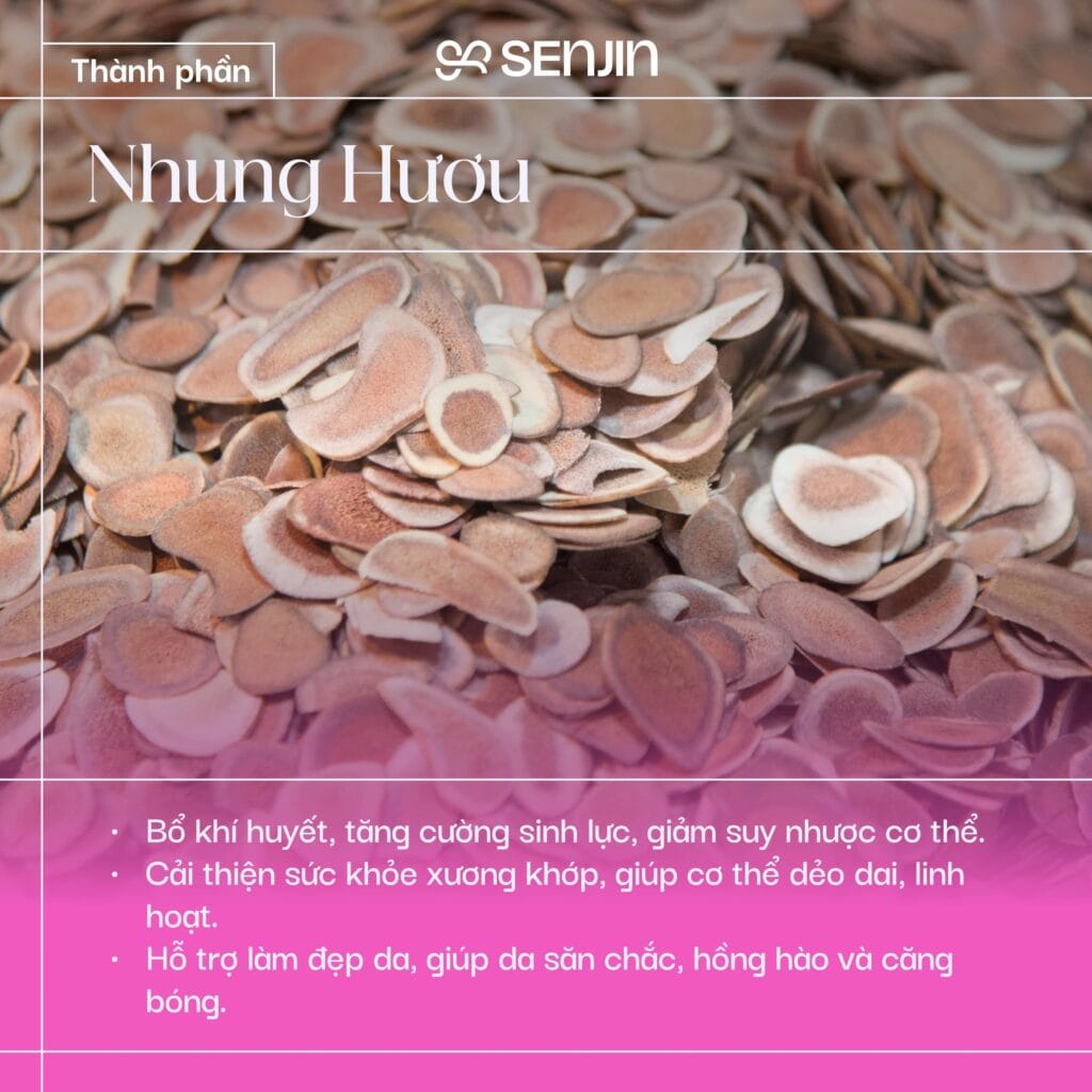 Thảo dược hàn quốc